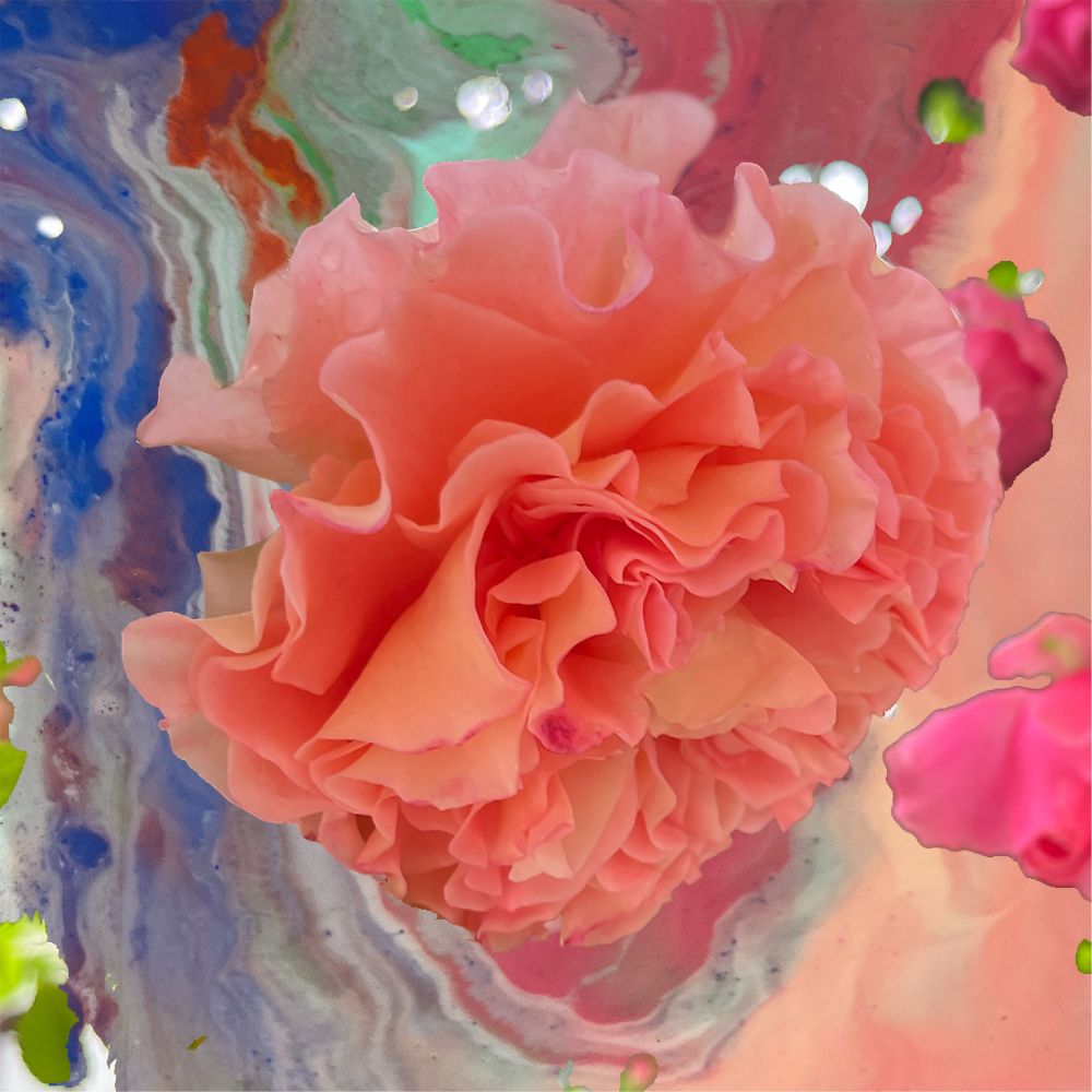 Conic Rose - Heller Tag (CD)
