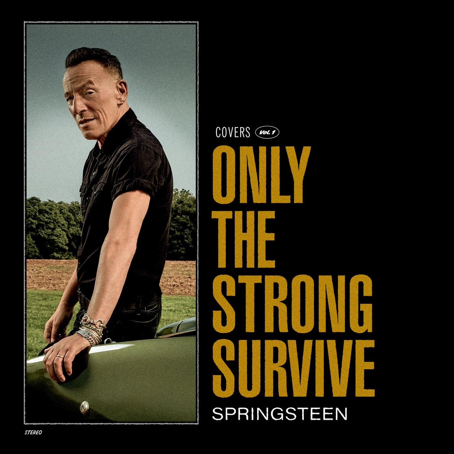 Bruce Springsteen - Only The Strong Survive [Orange 2LP]