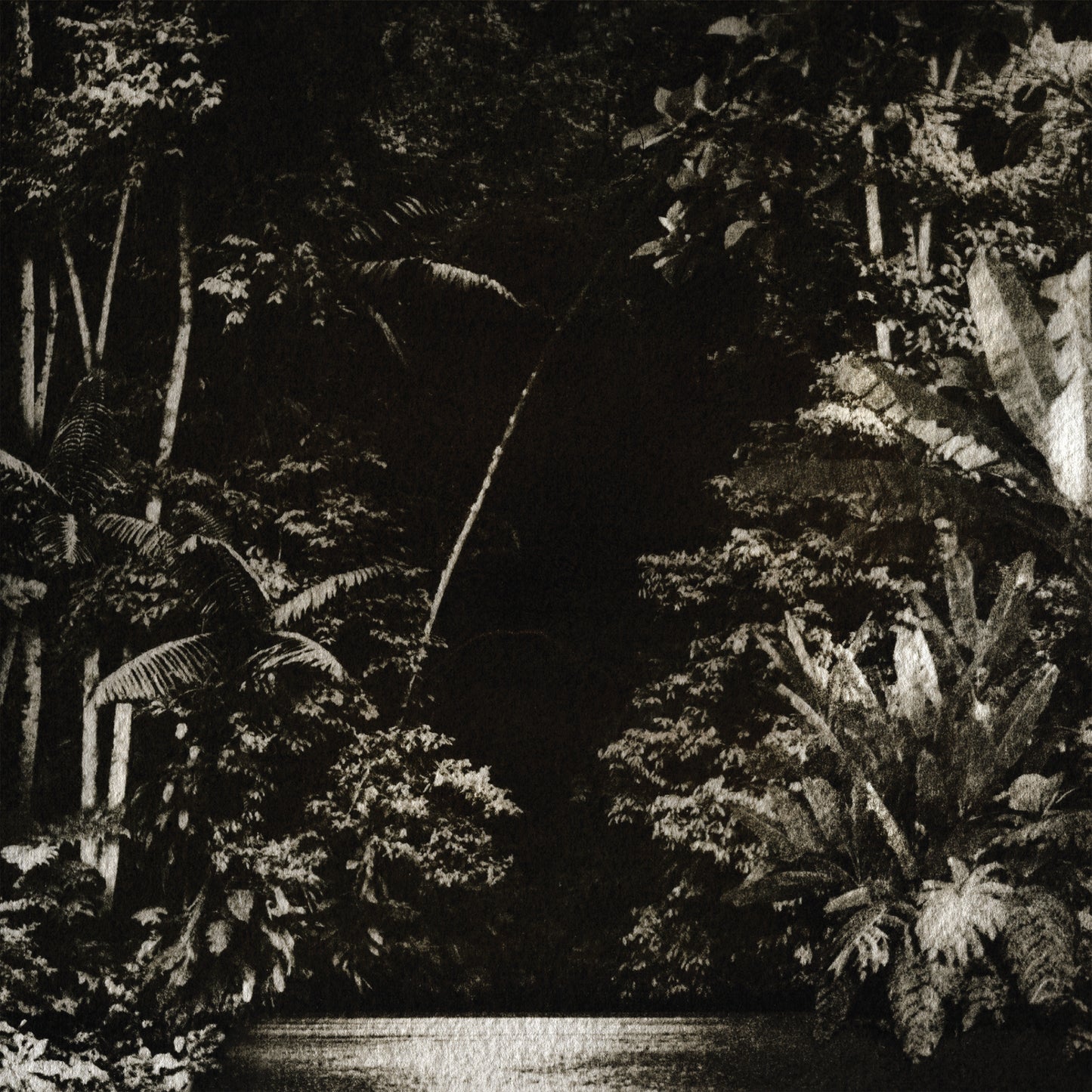 Nicola Cruz - Arpejos Da Floresta