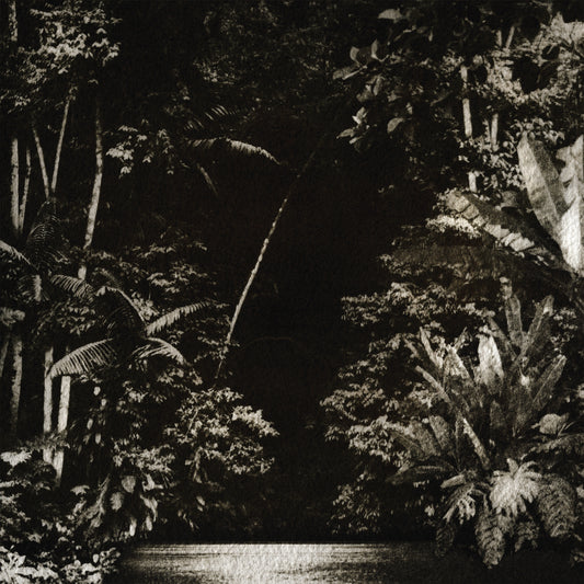 Nicola Cruz - Arpejos Da Floresta