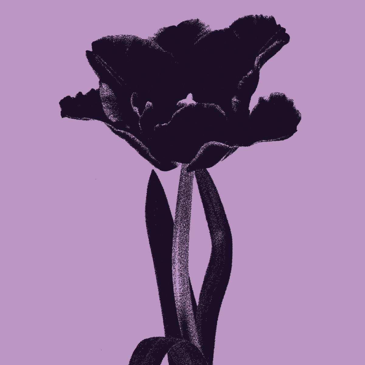 Kasra feat. Catching Cairo - Guilty / Kanjiru [full colour inner + outer sleeve / semi-clear purple vinyl]