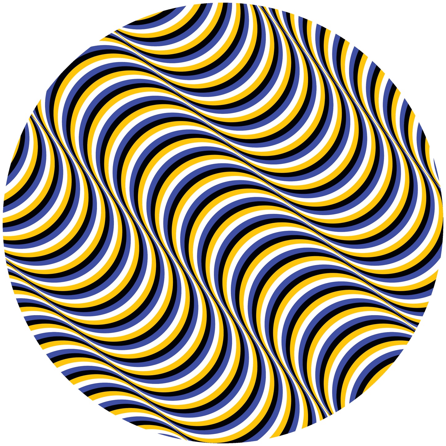 Frankey & Sandrino - Optical