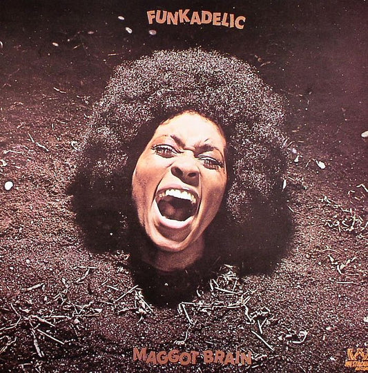 FUNKADELIC - Maggot Brain