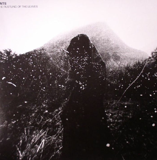 SNTS - The Rustling Of The Leaves