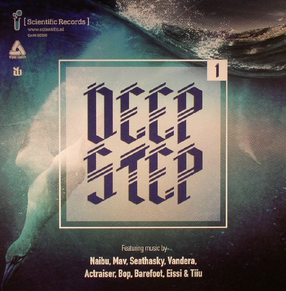 VARIOUS - Deepstep 01 LP