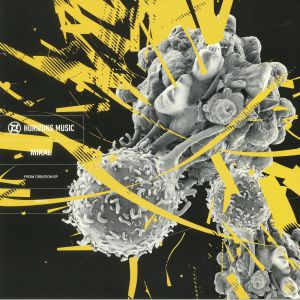 MIKAL - From Creation EP