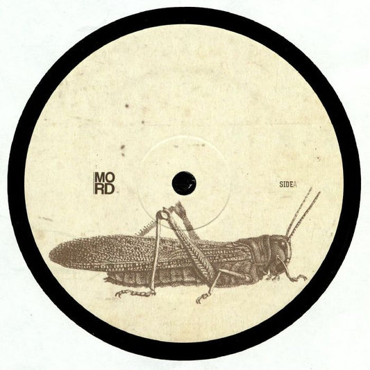 GOTSHELL - First Tomorrow EP