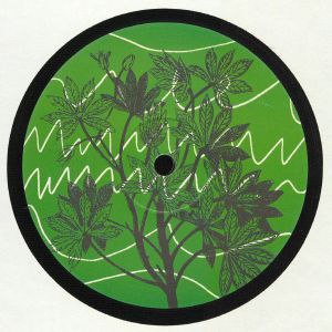 AUNTIE FLO - Brasil Novas Frequencias EP