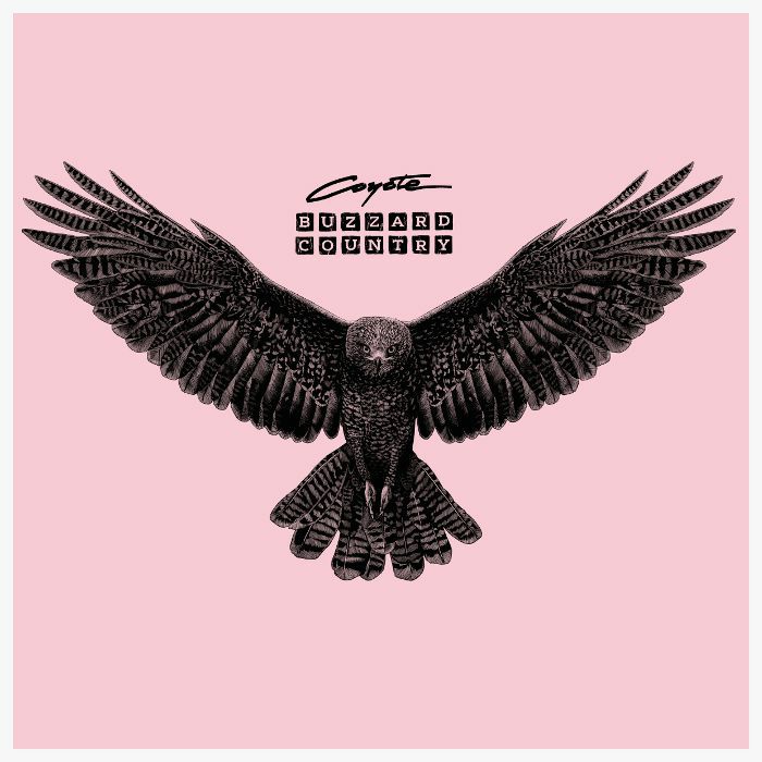 Coyote - Buzzard Country