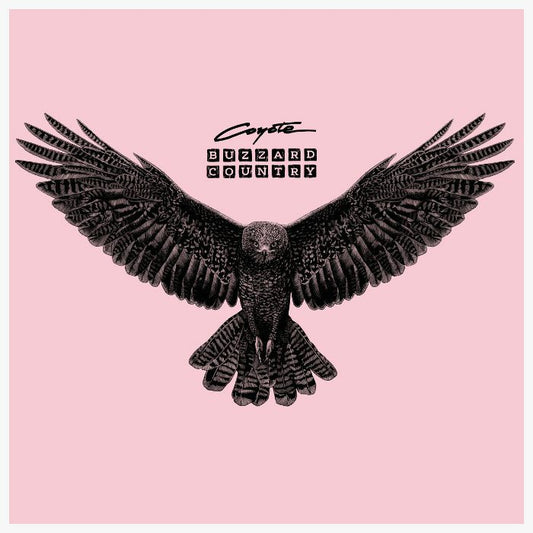 Coyote - Buzzard Country