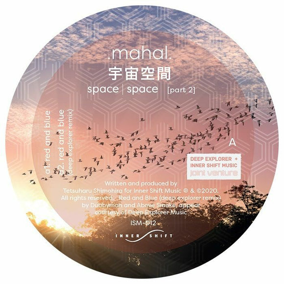 Mahal - Space Space Part 2 (Deep Explorer mix)