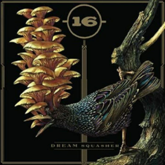 16 - Dream Squasher (CD)