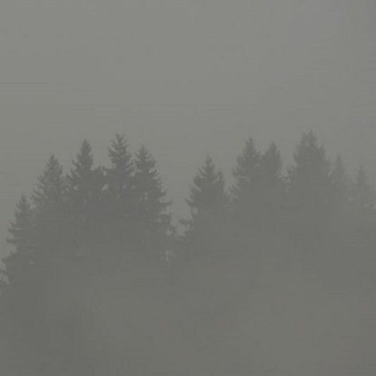 Max LODERBAUER - Donnerwetter