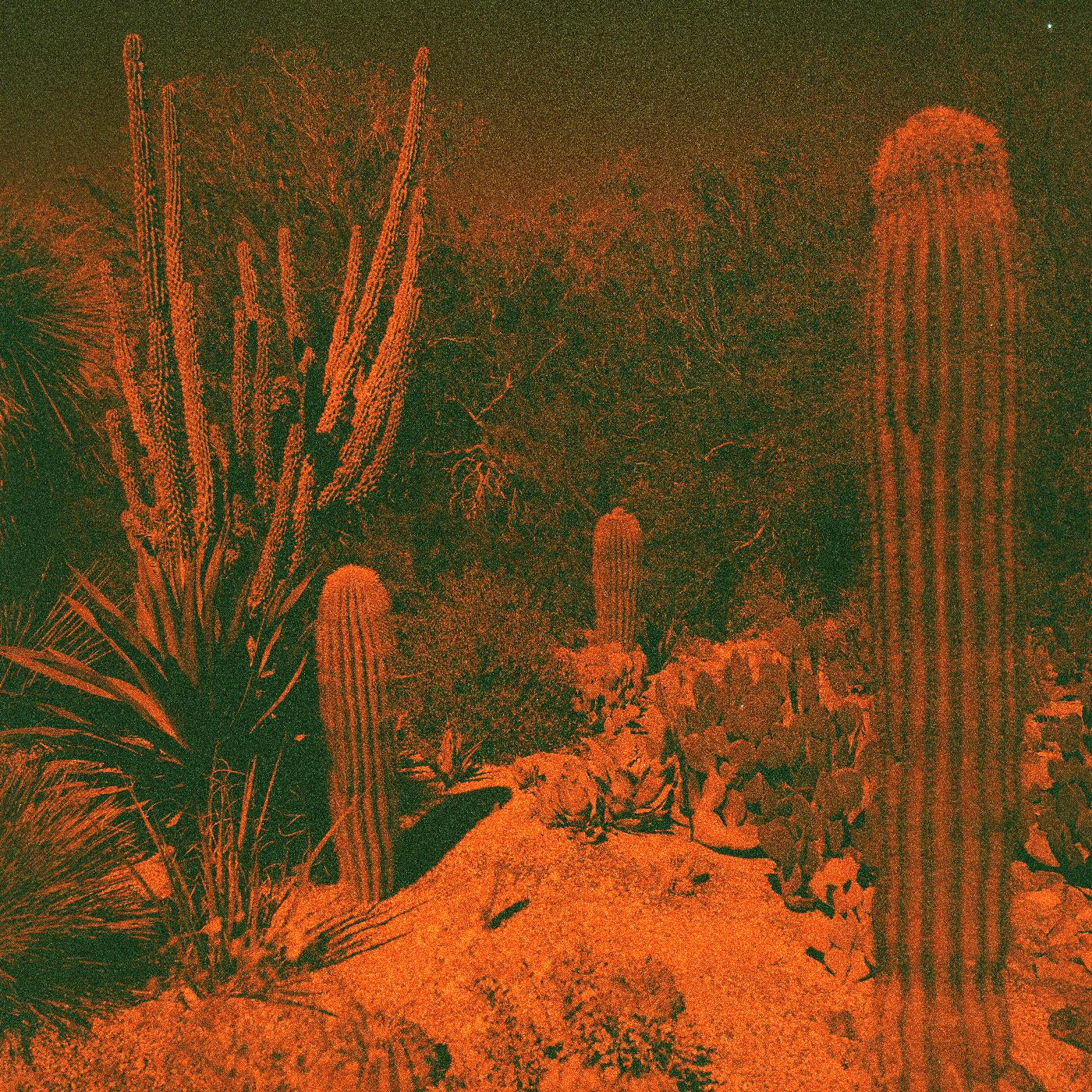 Cameron Knowler & Eli Winter - Anticipation [LP]
