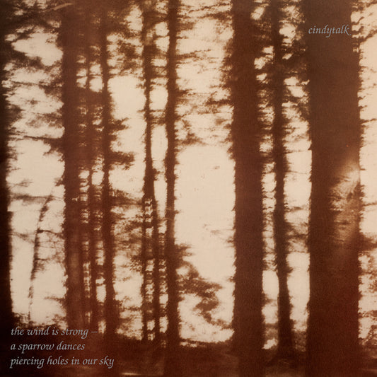 Cindytalk - The Wind Is Strong... [LP]