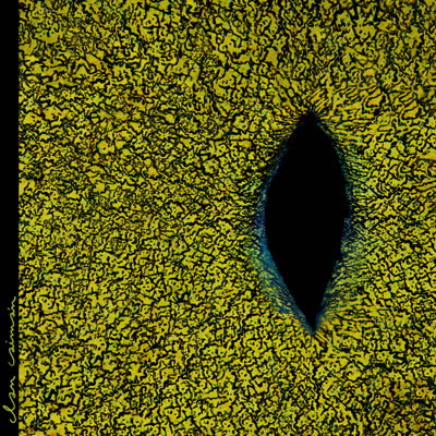 Clan Caimaa?n - Clan Caimaa?n