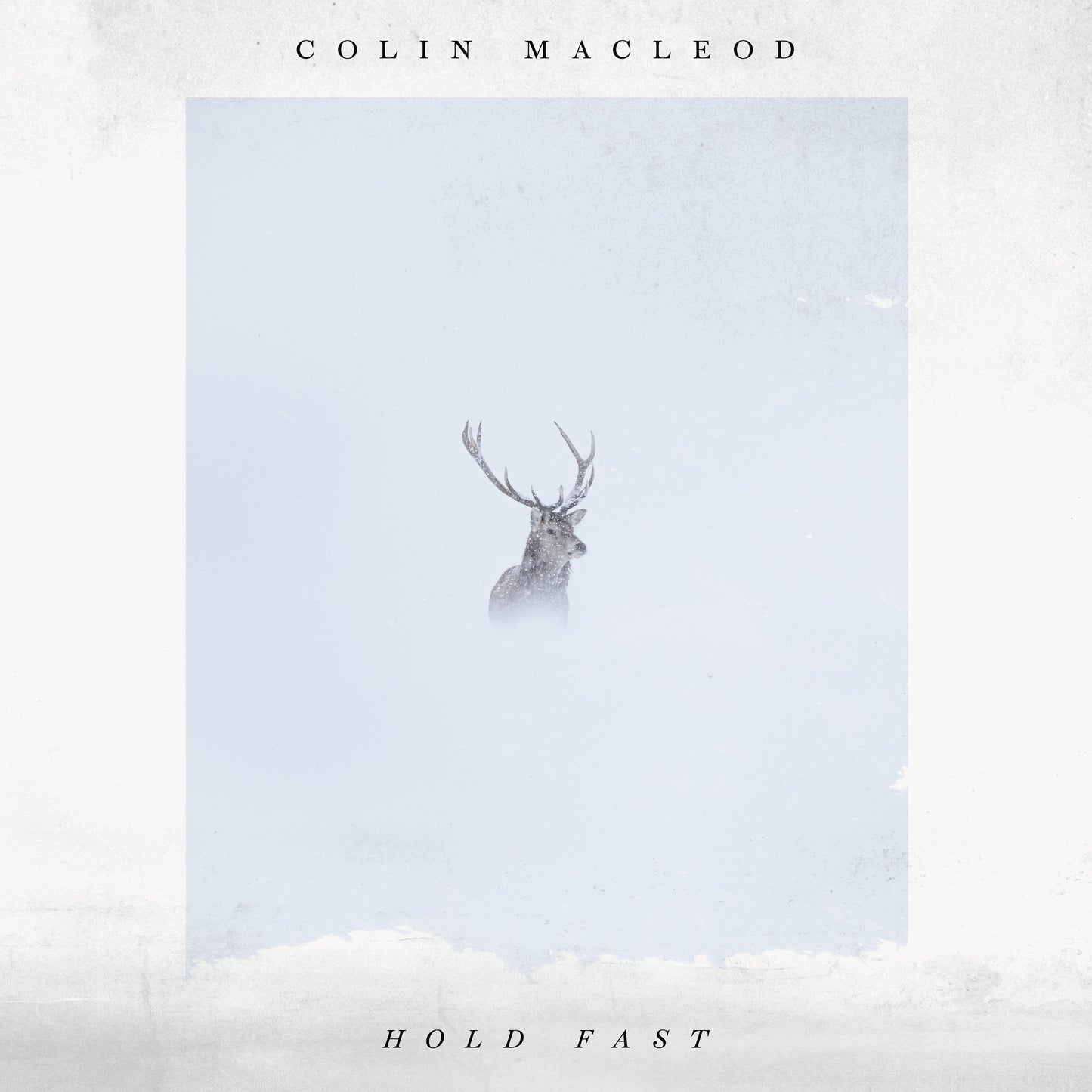 Colin Macleod - Hold Fast [LP Transparent Vinyl]