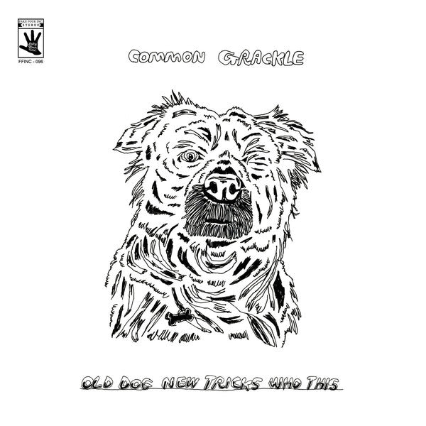 Common Grackle - Old Dog New Tricks Who This (Indie Only)
