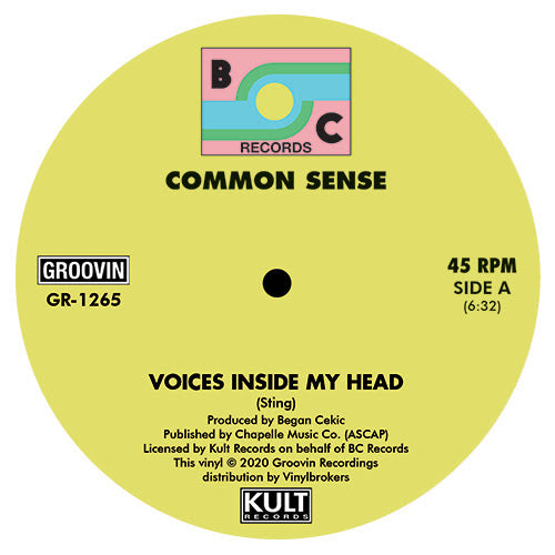 Common Sense - Voices Inside My Head