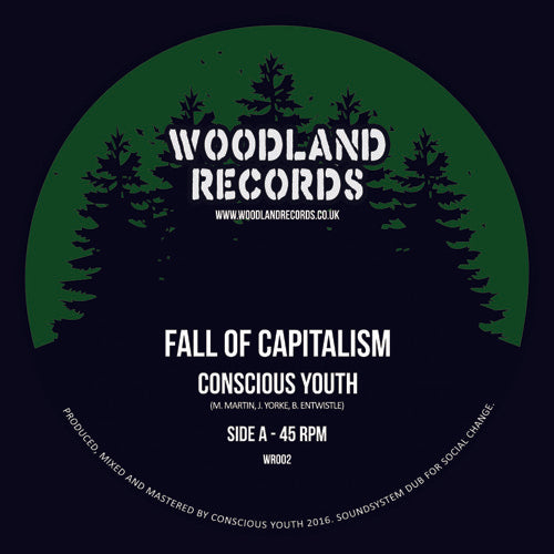 Conscious Youth - Fall Of Capitalism