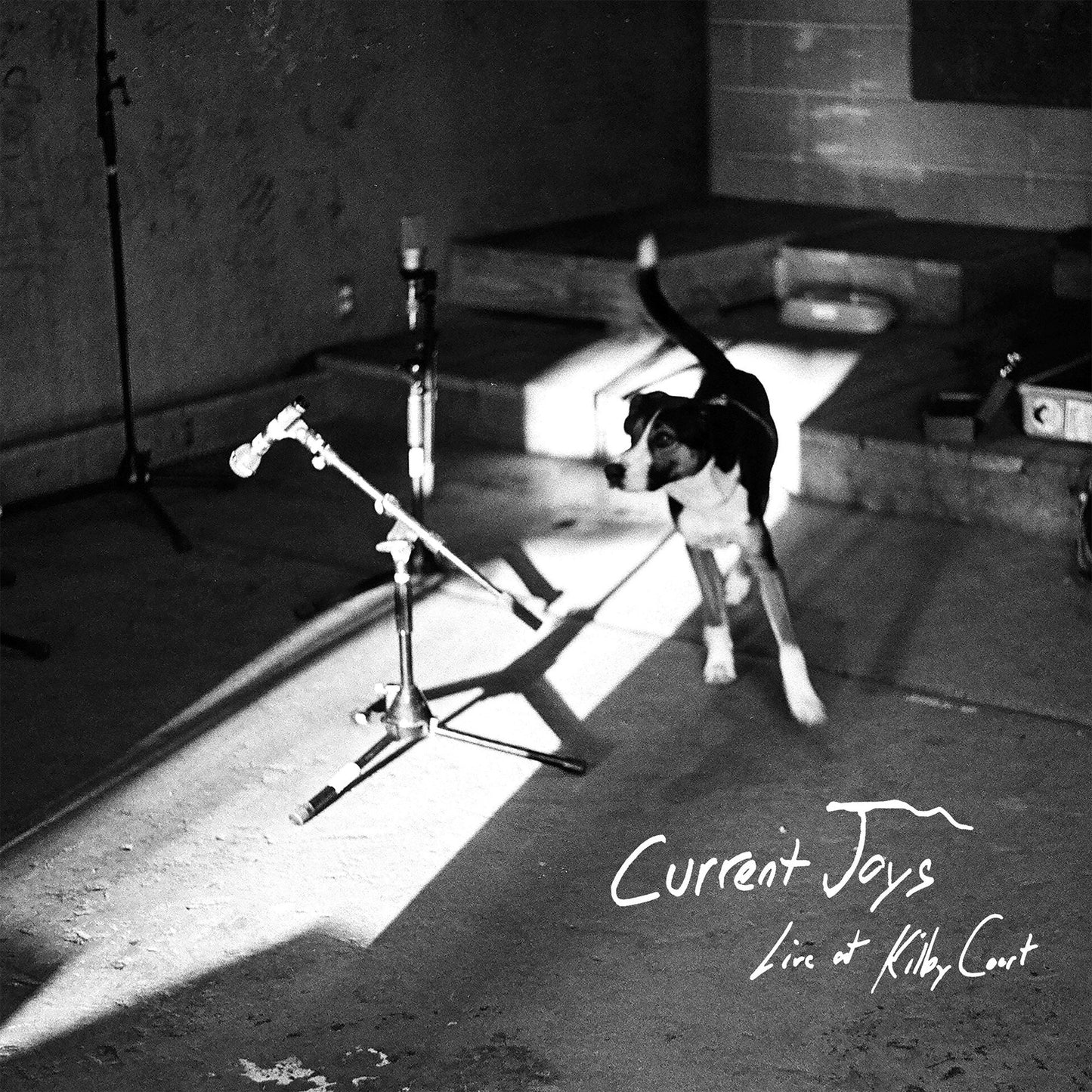 Current Joys - Live at Kilby Court [2LP]