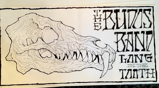 The Budos Band - Long In The Tooth [CD]