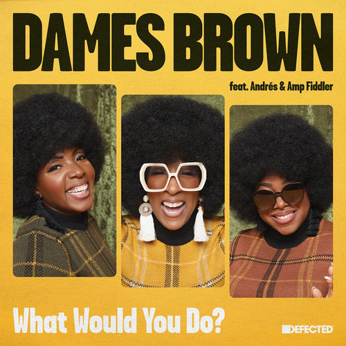 Dames Brown featuring Andrés & Amp Fiddler - What Would You Do?
