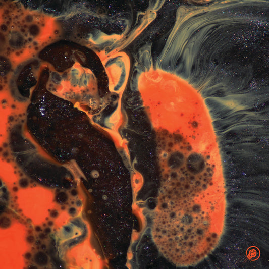 THE COMET IS COMING - Death To The Planet