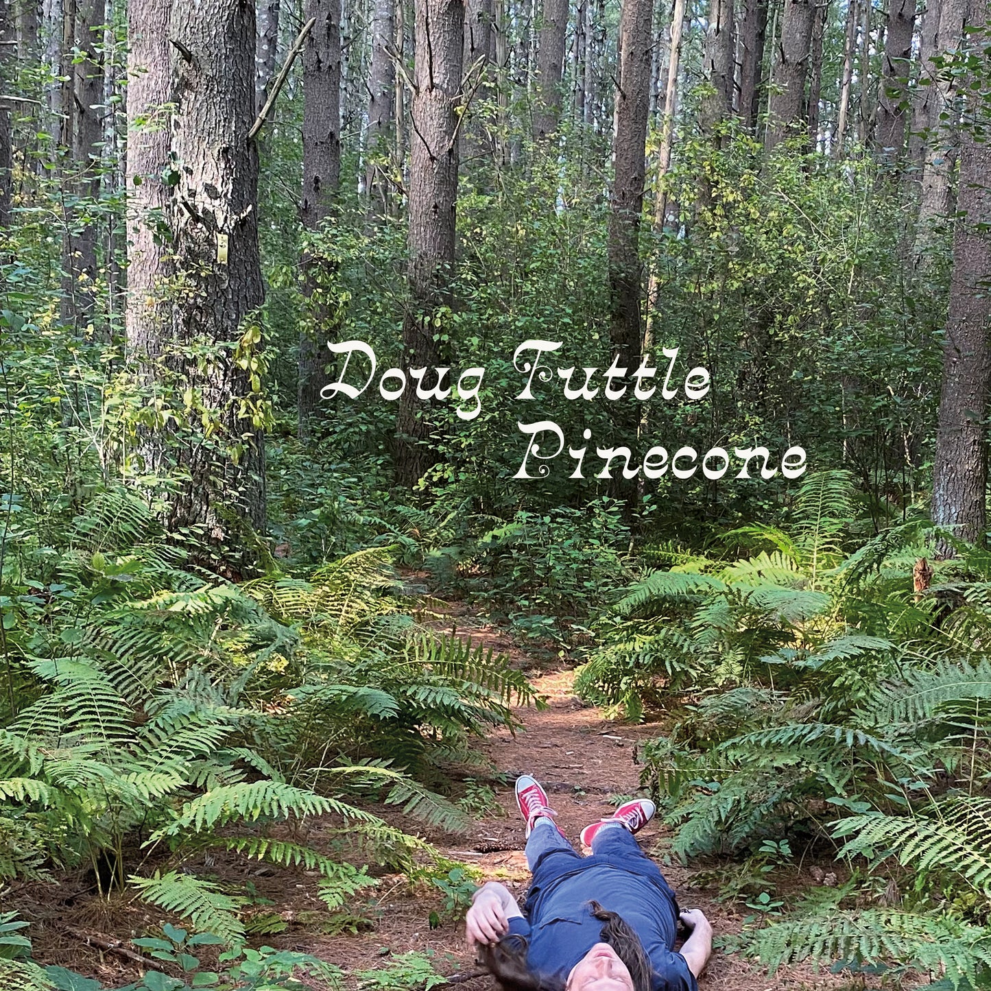 Doug Tuttle – Pinecone