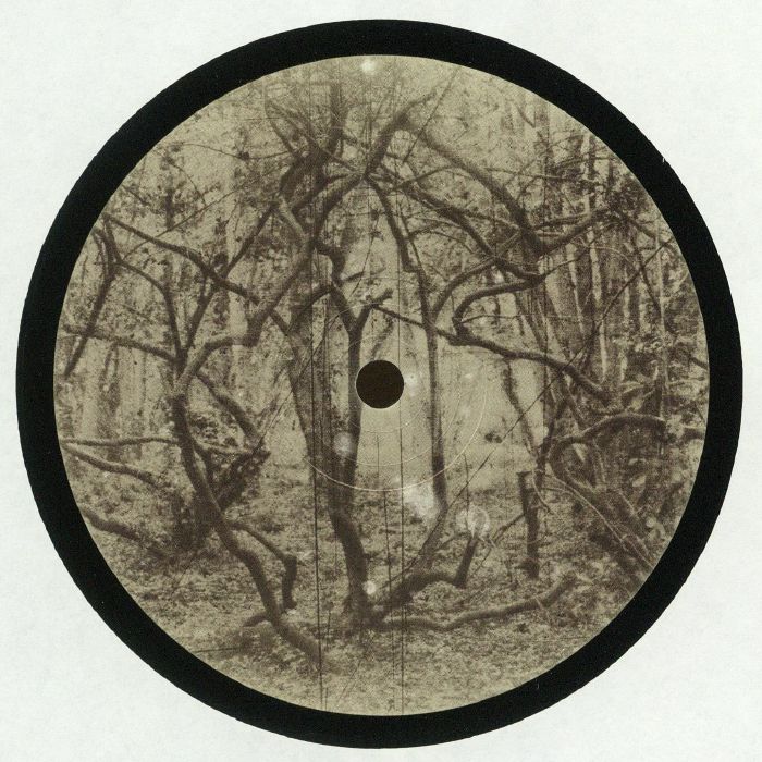 DPRTNDRP - Malawi / Less Smell / Hedera