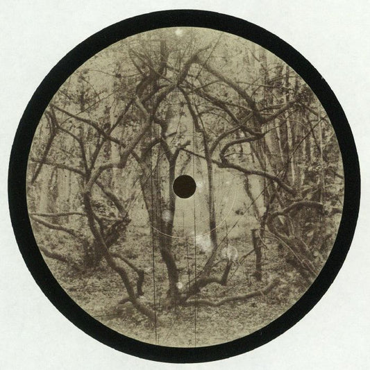 DPRTNDRP - Malawi / Less Smell / Hedera