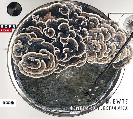 Antoni Basiak, Maniucha Bikont, Maciek Filipczuk, Marcin Lorenc - Osmetnica Electronica Niewte