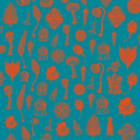 Danny Scrilla - Daybreak [clear vinyl / full colour sleeve]