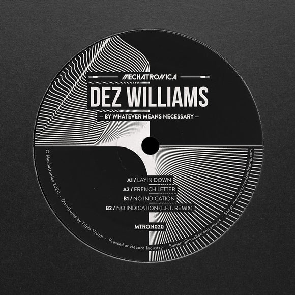 Dez Williams remix LFT - By Whatever Means Necessary