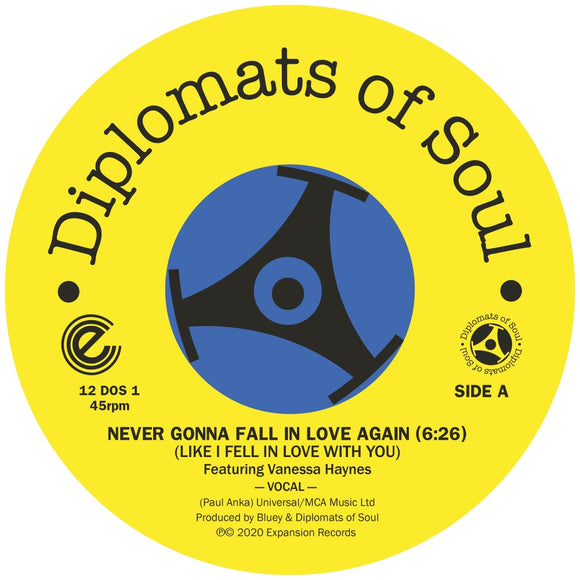 Diplomats Of Soul - Never Gonna Fall In Love Again  (Like I Fell In Love With You)