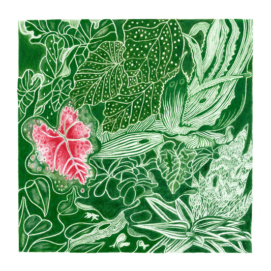 Double Geography - The Indoor Gardener