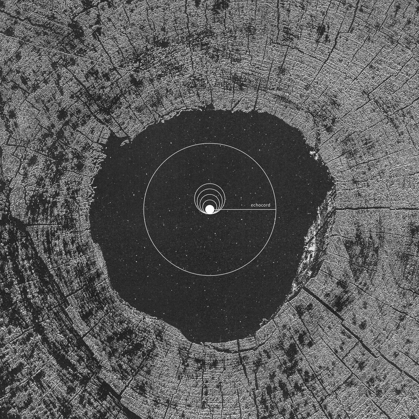 Various Artists - Echocord - 20 Years