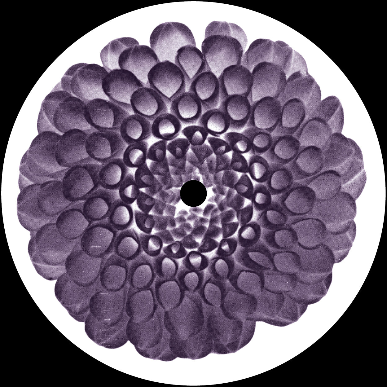 Petals - Input EP