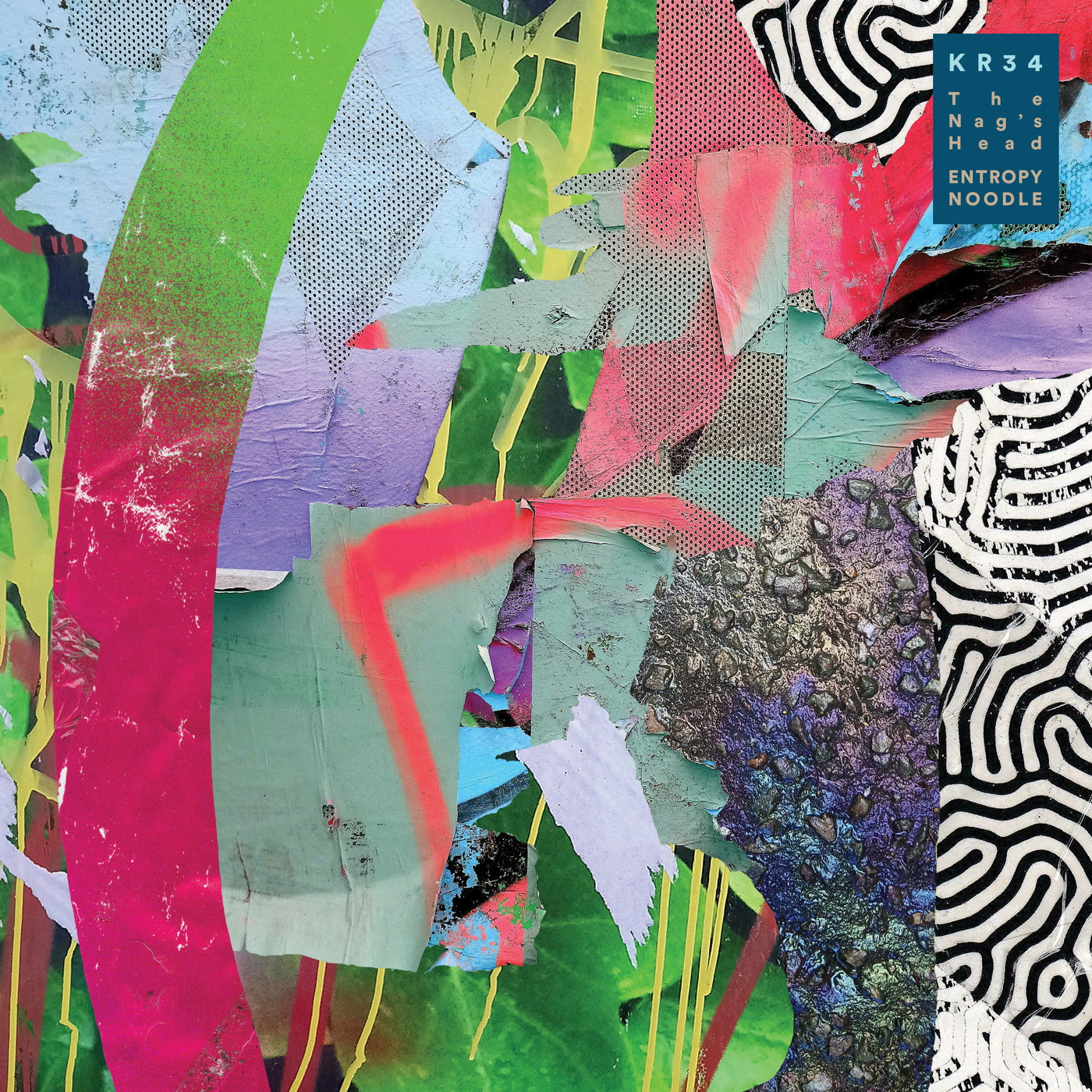 The NAG'S HEAD - Entropy Noodle