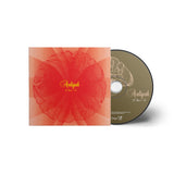 Aaliyah - I Care 4 U [2CD]