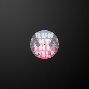 ERIK SUMO - RUN INTO THE WILD