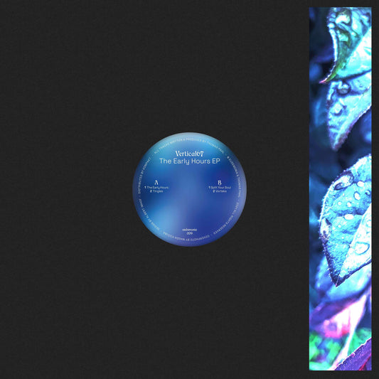 Vertical67 - The Early Hours