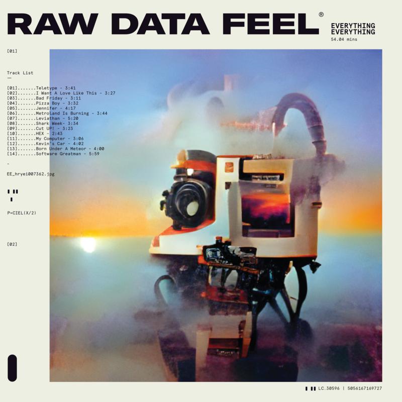 EVERYTHING EVERYTHING - RAW DATA FEEL [Clear Standard Vinyl]