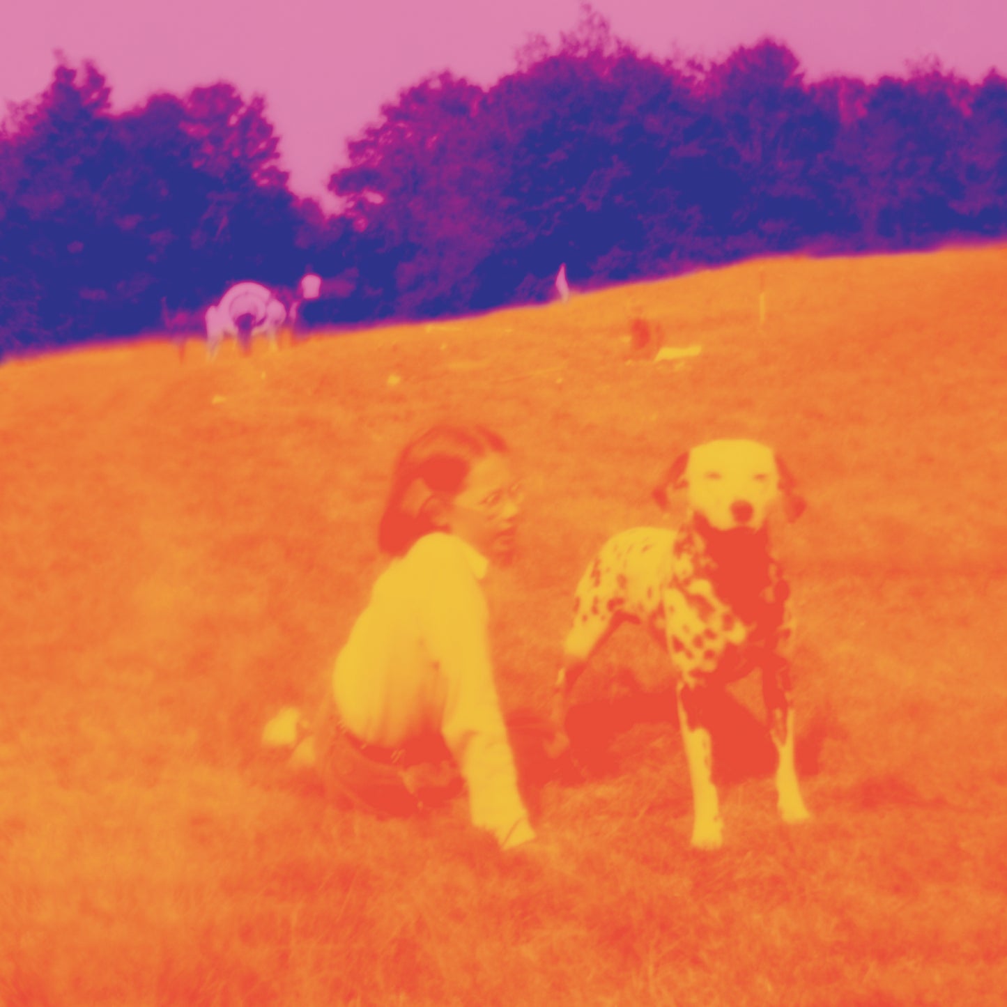 Eels - Blinking Lights and Other Revelations [Crystal Violet Triple Vinyl]