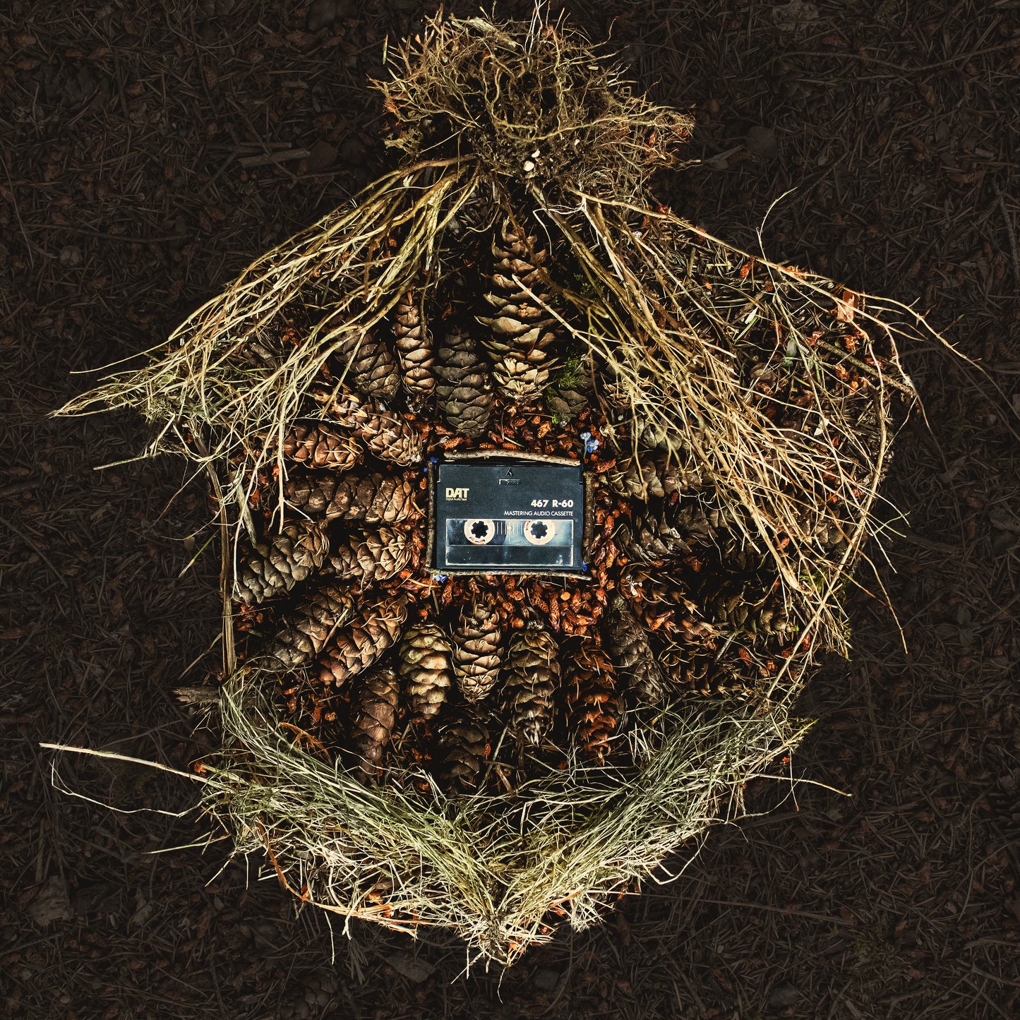 The Native Language Elephant Chase (Inc. Doza / Michael Manahan Remixes)