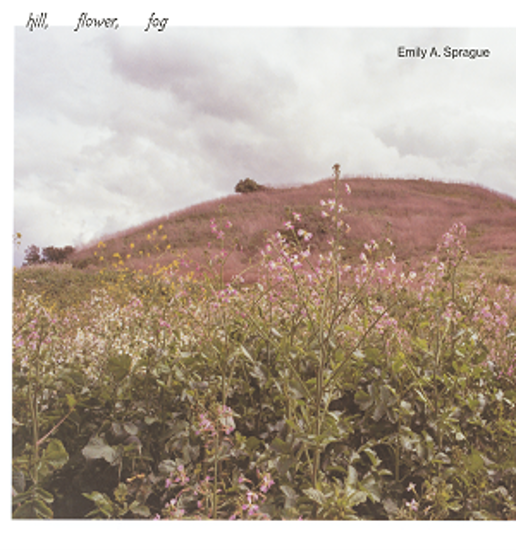 Emily A Sprague - Hill, Flower, Fog