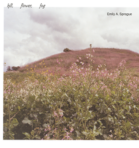 Emily A Sprague - Hill, Flower, Fog