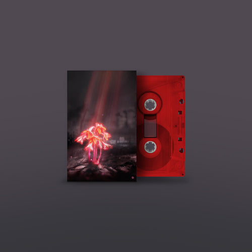Enter Shikari - A Kiss for the Whole World [Red Coloured Cassette]