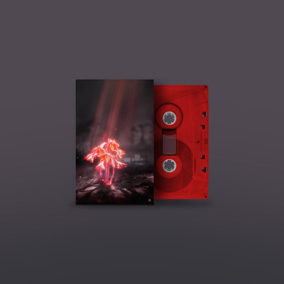 Enter Shikari - A Kiss for the Whole World [Red Coloured Cassette]