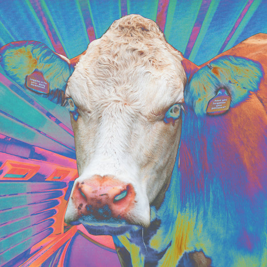 Eyes of Others - Eyes of Others [CD]